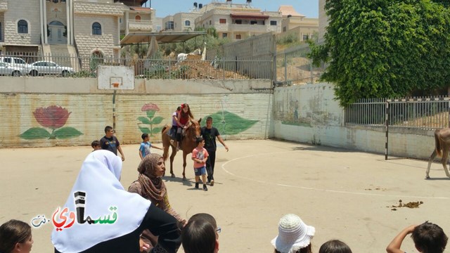 كفرقاسم - فيديو  : تعليم هواية ركوب الخيل في مدرسة جنة ابن رشد في اليوم الرابع لصيف الصادقة 